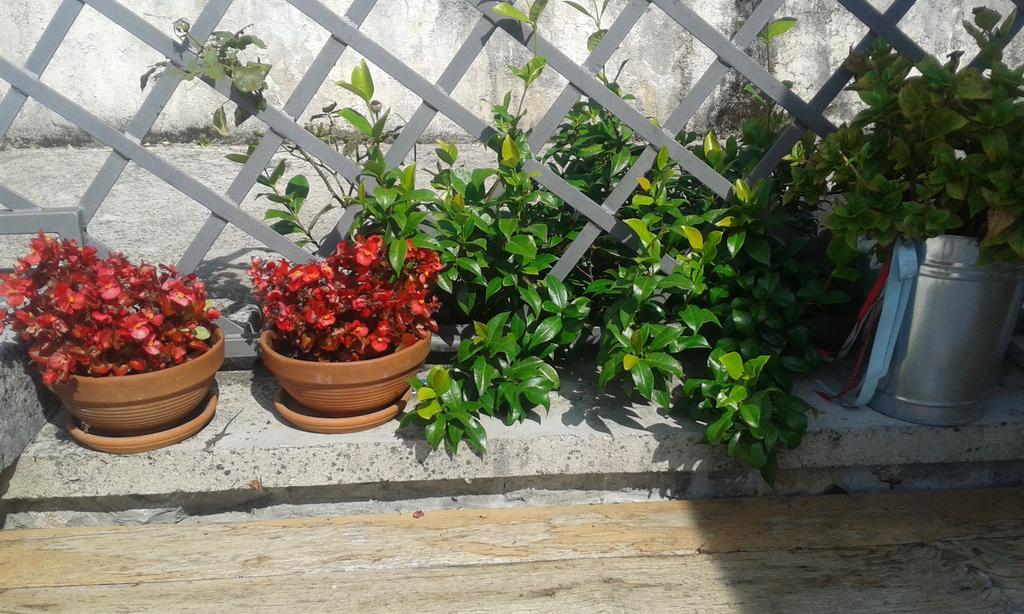 Guest House Rabenseifner - Opatija Jurdani Luaran gambar